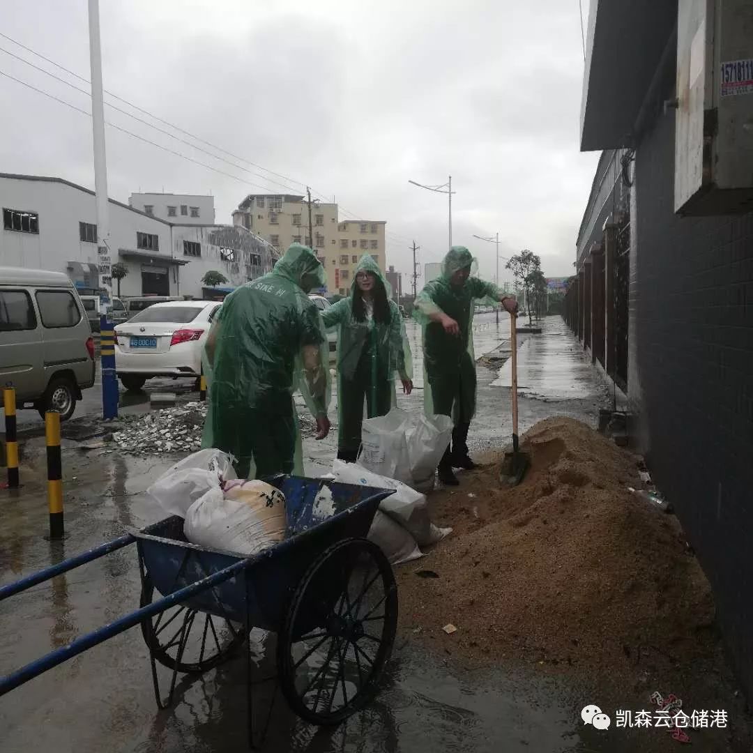 凱森倉儲港